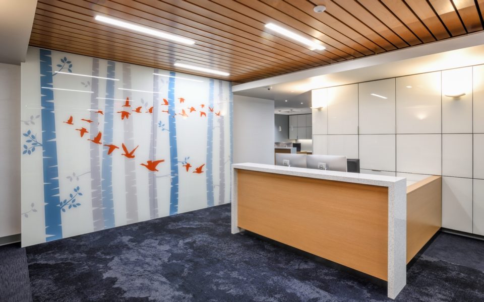 Office reception area with accent wall