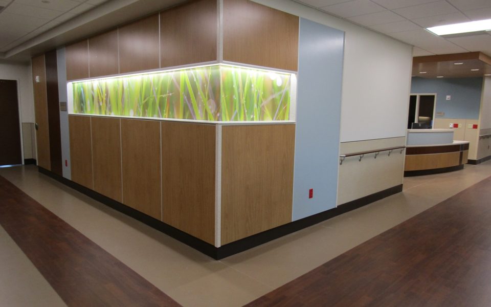 Custom wall paneling with decorative graphic art in hospital